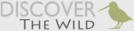 Discover-The-Wild